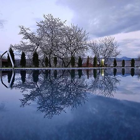Soare-N Maramures Budeşti Exterior foto